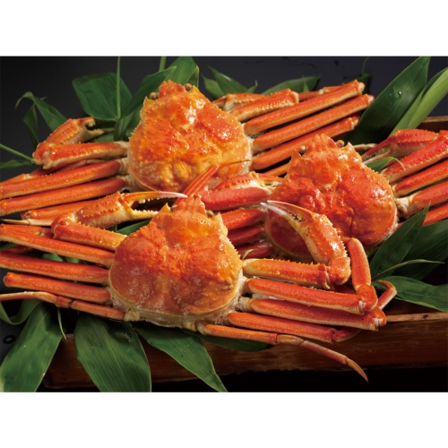 [食品ギフト] ボイルずわいがに姿3尾（50）