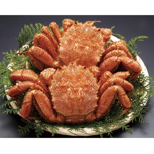 [食品ギフト] 北海道産ボイル毛がに2尾800g