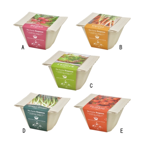 [栽培セット] バガスグリーン