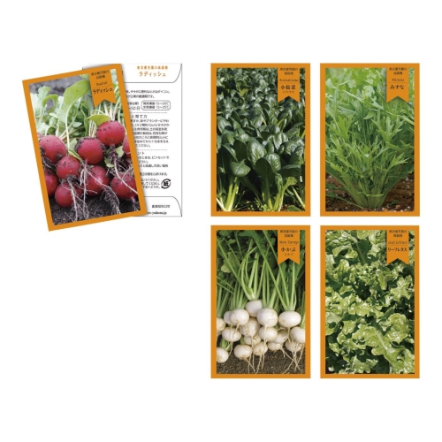 [栽培セット] thank you seed （野菜）