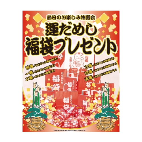 [正月用品] 運だめし福袋プレゼント100人用