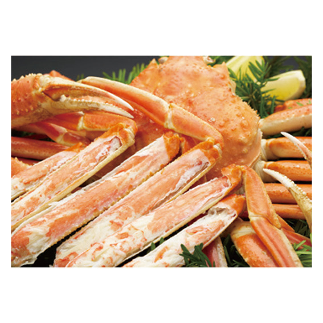 ボイルずわいがに姿3尾（50）