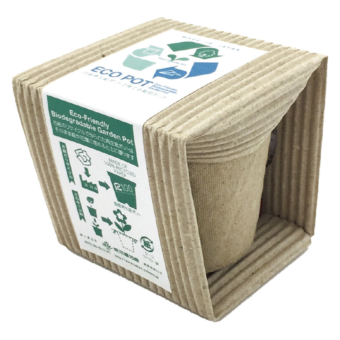 ECOポット  S  花の種子