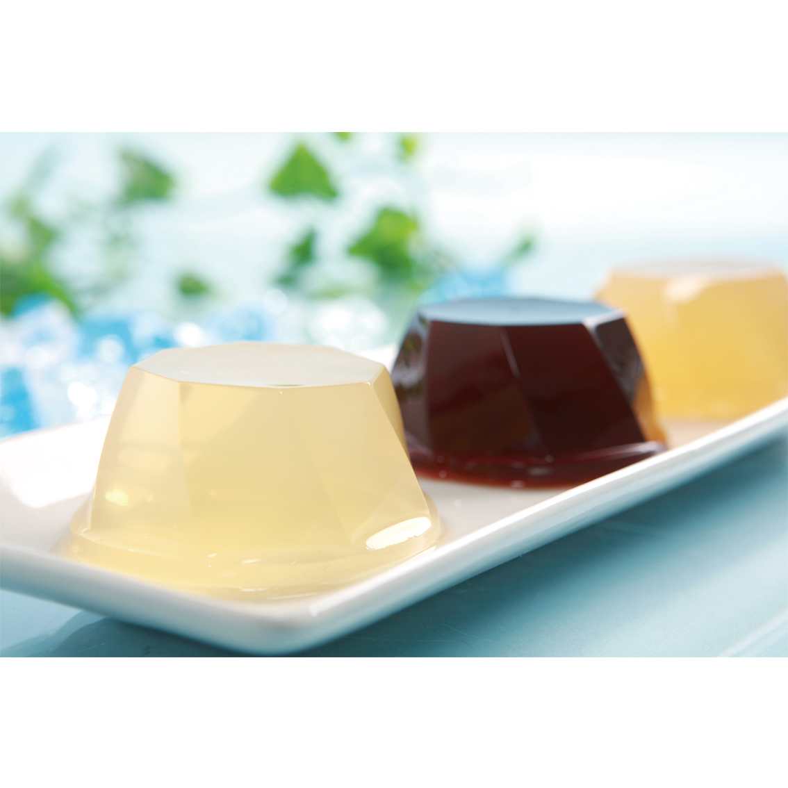 果実味豊かな寒天ゼリー5種セット