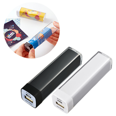 ＜アウトレット売切廃盤＞カスタムデザインチャージャー2200