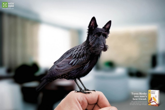 ミニチュア・シュナウザー+鳥(Witte Molen社)