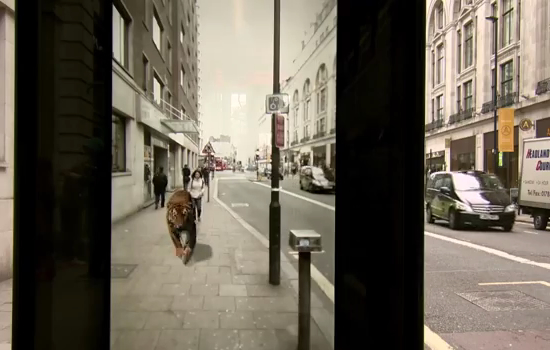 キャプチャ:突如現れたにトラに愕然