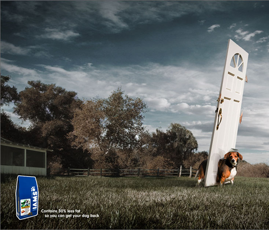 ペットフード（Iams）の販促用ポスター。太り過ぎが気になる犬にピッタリなペットフォードだそうです。＜米国＞