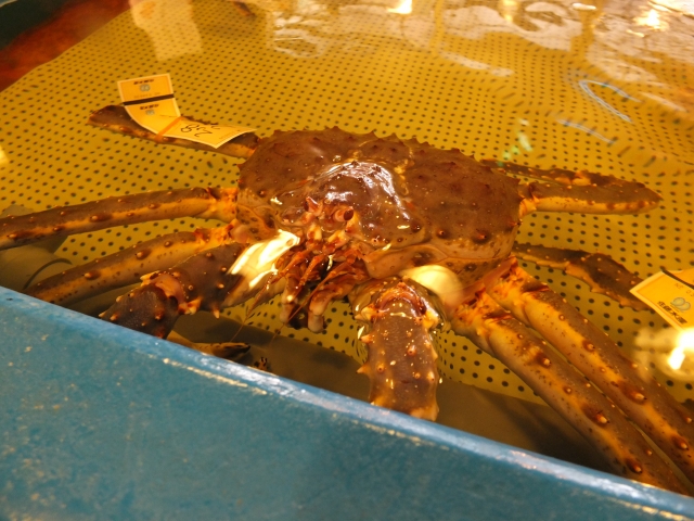 口ベタでも安心、今すぐ使える雑学小ネタ<厳選10> Vol.1