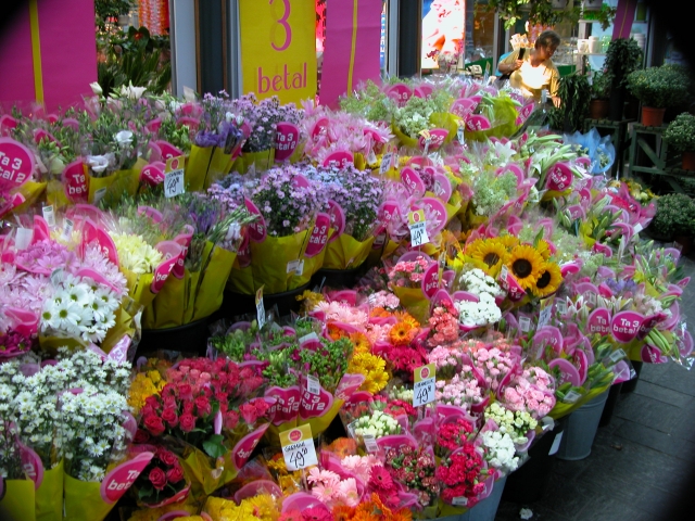 どうして「街の電気屋さん」は生き残れるのか?その謎に迫る