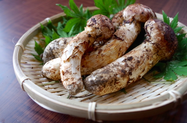 口ベタでも安心、今すぐ使える雑学小ネタ<厳選10> Vol.3