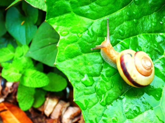 商談を盛り上げる！今すぐ使える雑学小ネタ 厳選10 Vol.5