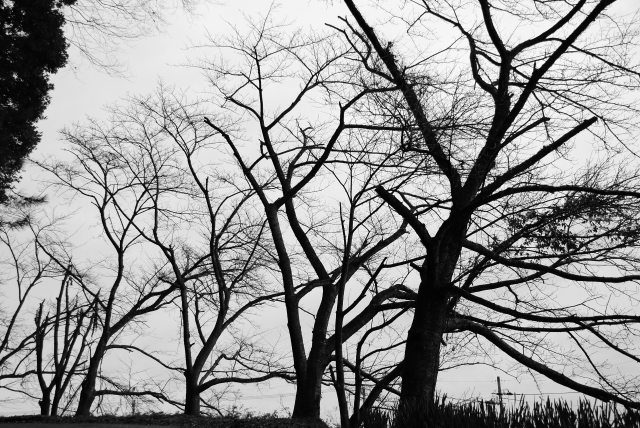 気をつけよう!ビジネスで使いがちな間違った日本語 厳選10 Vol.5