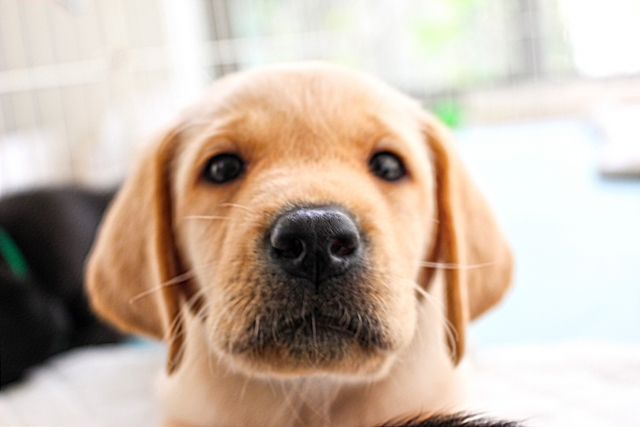 商談を盛り上げる!今すぐ使える雑学小ネタ 厳選10 Vol.8