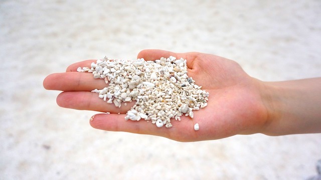 気をつけよう!ビジネスで使いがちな間違った日本語 厳選10 Vol.8