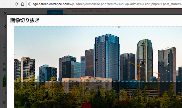 <WordPress> ワードプレスで企業サイト制作|本番実践 前編