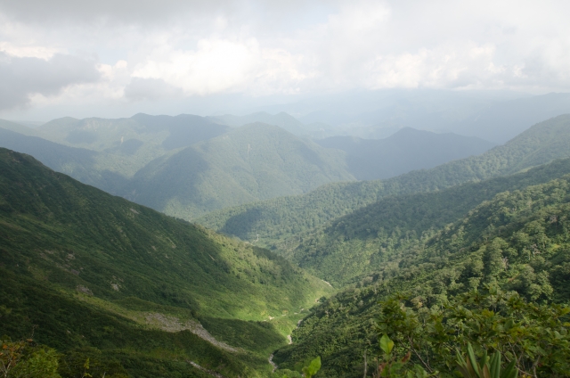商談を盛り上ける!今すく使える雑学小ネタ 厳選10 Vol.11