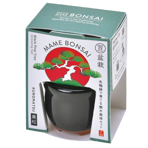 ＜夏の販促 第二弾＞真夏のお勧め商品値引き特集/2025年